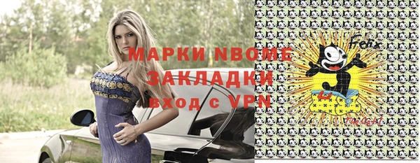 сатива Волоколамск