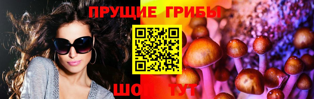 Галлюциногенные грибы Psilocybe Рузаевка